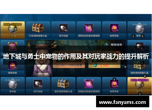 地下城与勇士中宠物的作用及其对玩家战力的提升解析